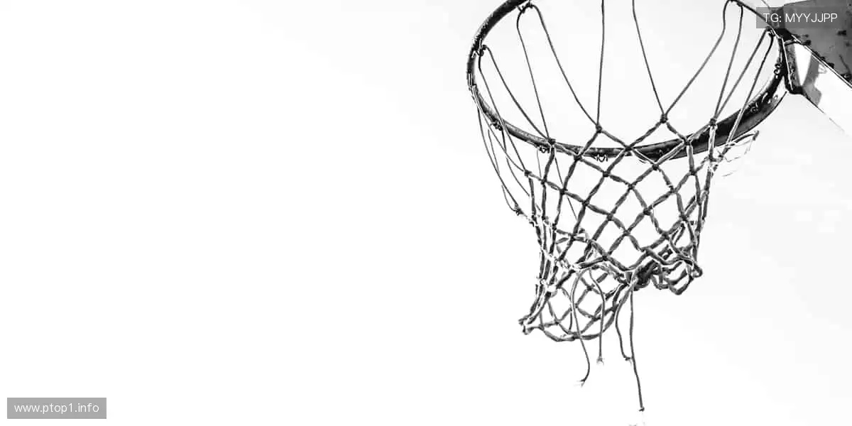 影视盛宴，精彩纷呈！🎥✨